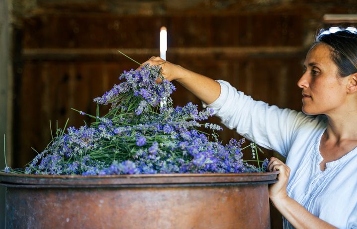 Person with a large container of lavender