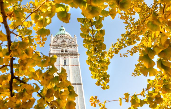 Queen's Tower pictured among yellow leaves in the foreground