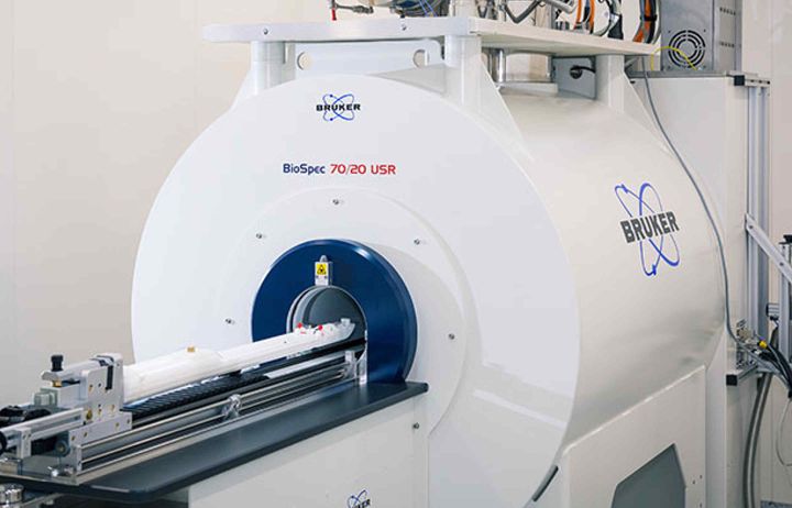 Bruker BioSpec 9.4 T MRI System