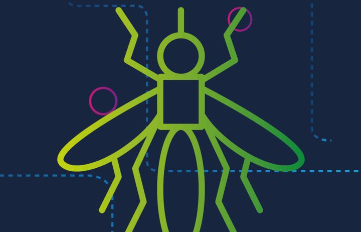A logo of a mosquito