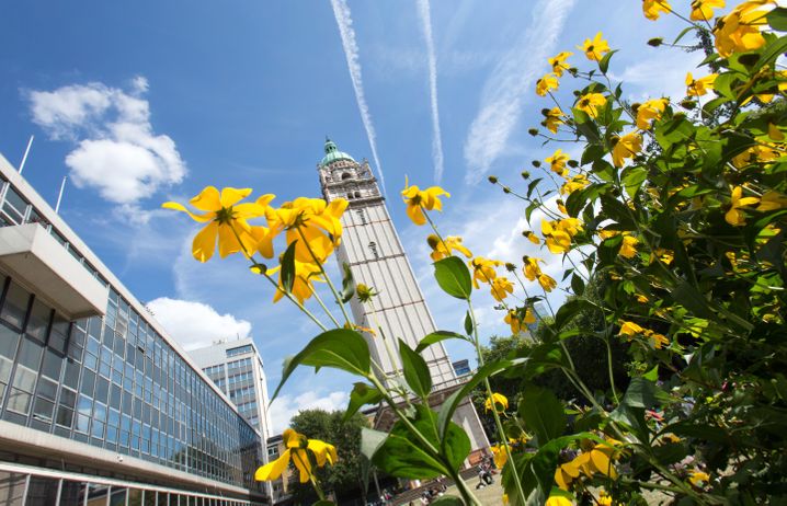 Queen's Tower at Imperial's South Kensington Campus with yellow flower in the foreground