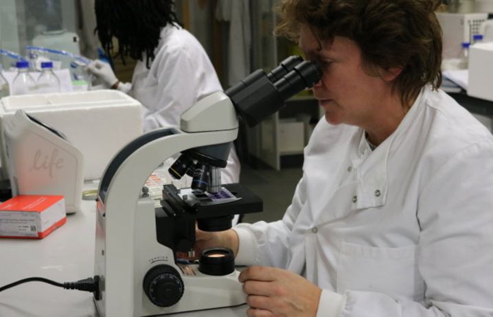 A researcher using a microscope in the lab