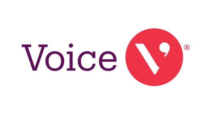 Voice global logo
