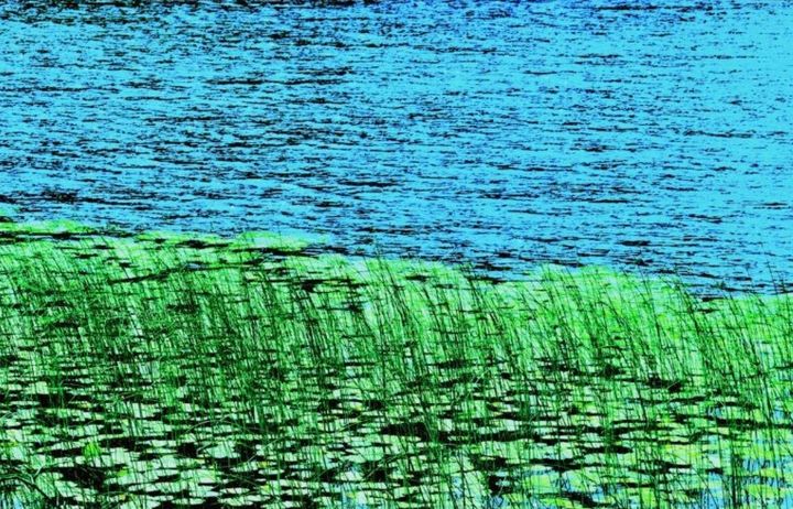 artistic impression of water and lilypads