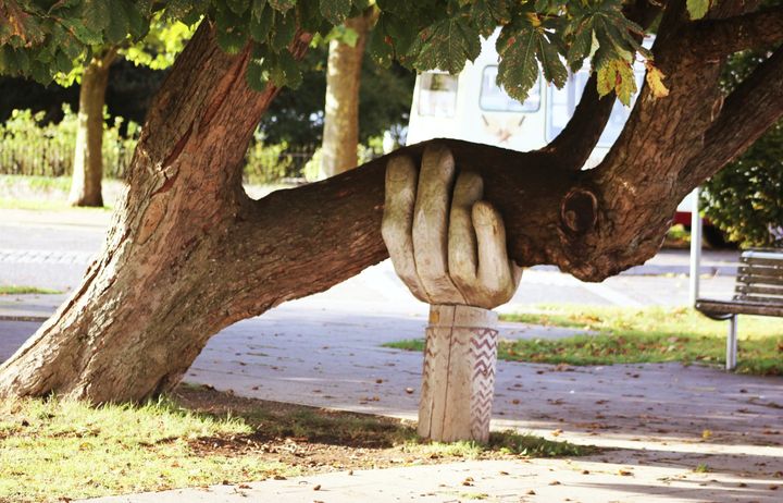 large statue of a hand holding up a tree branch