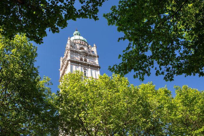 Queen's tower through trees