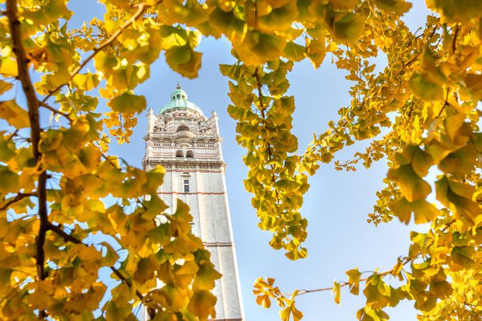 Queen's tower in Autumn