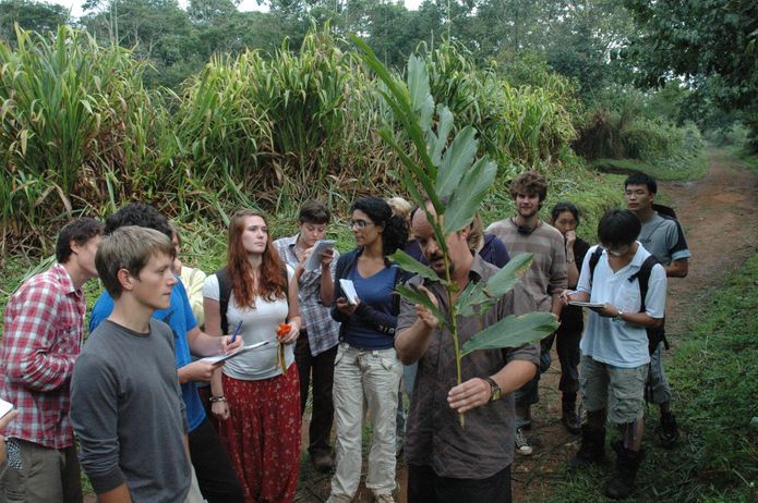 Twenty 3rd-year biology students explore the Ugandan rainforest on the College's first annual tropical biology field trip, September 2009. Accompanied by Professors Vincent Savolainen and Donald Quicke.