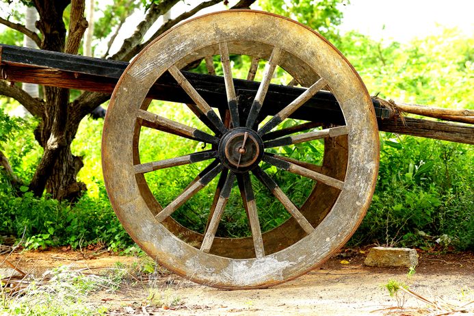 Indian bullock cart in natural background