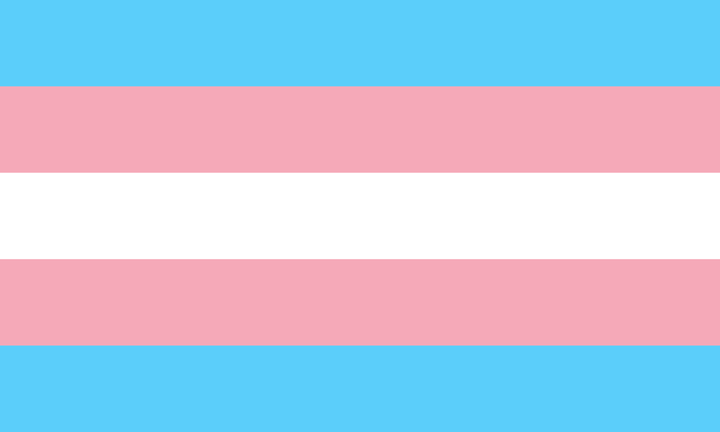 Trans flag