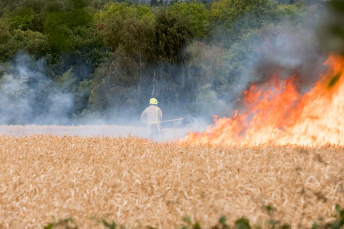 Firefighters tackle blaze in corn fire