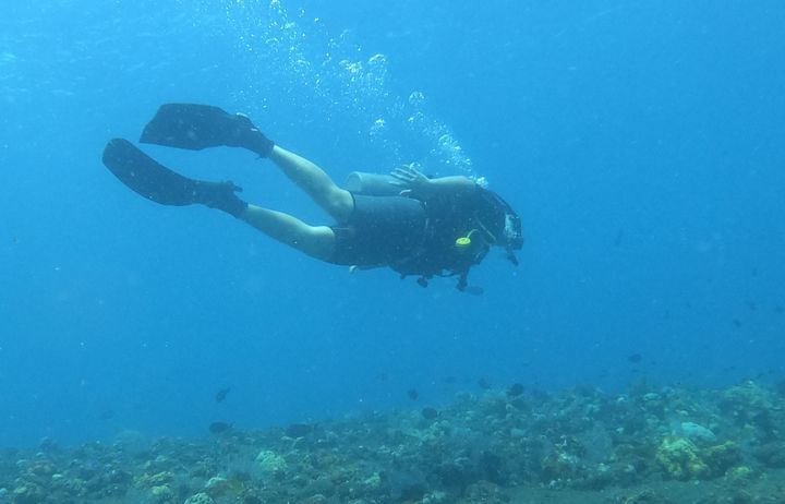 A scuba diver