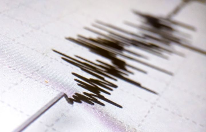 Seismograph readings