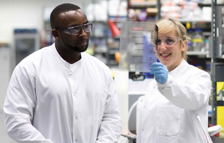 two scientists look at results