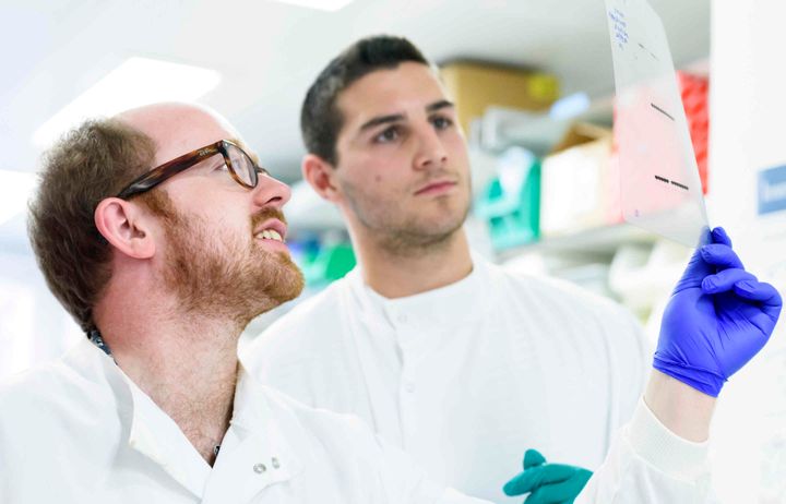 Students in lab look at results