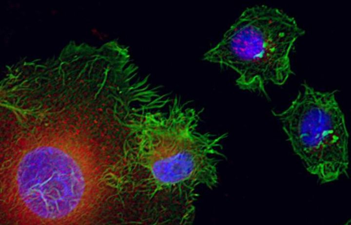 MRes in Biological and Physical Chemistry