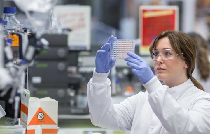 A researcher looking at samples in a lab