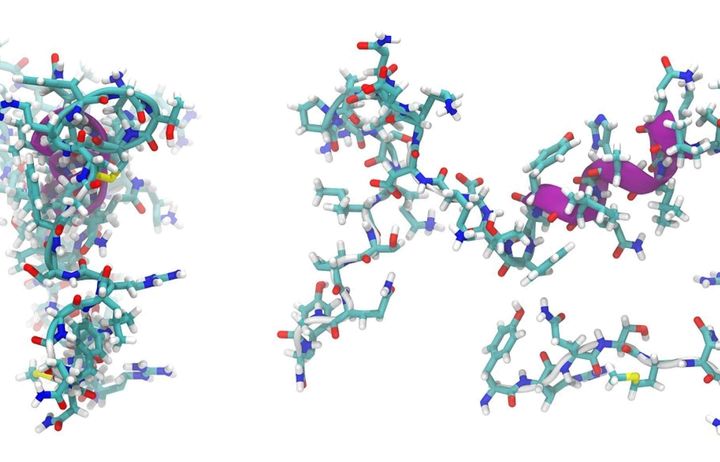 Molecule diagram 