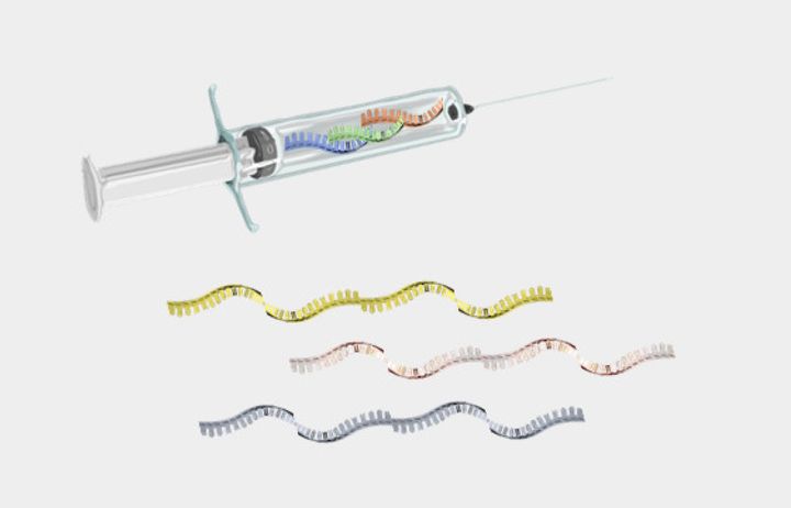 Vaccines RNA Therapeutics