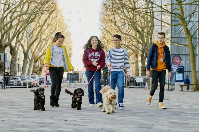 Dog Society