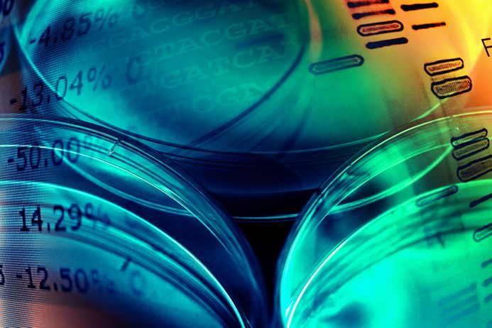A picture of petri dishes