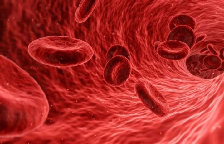 Red blood cells