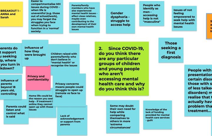 An example of working together with people with lived experience to prioritise research