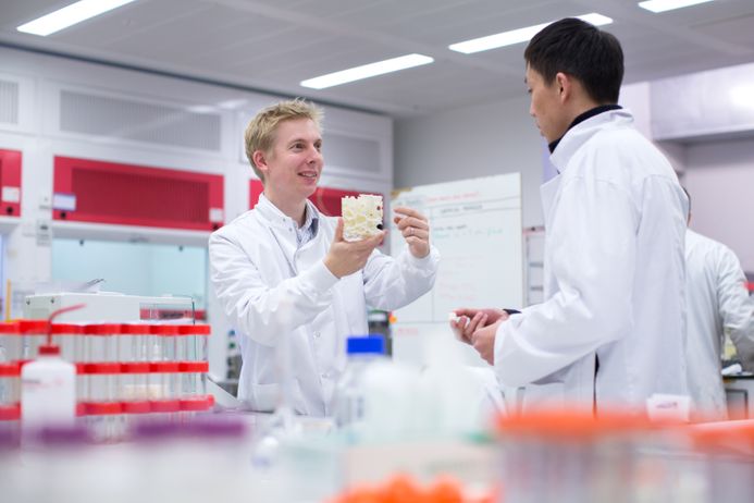 Two male students looking at an experiment in the lab