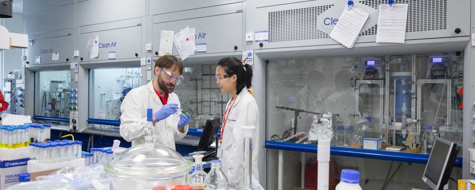 Two researchers in the Jason Hallett Lab