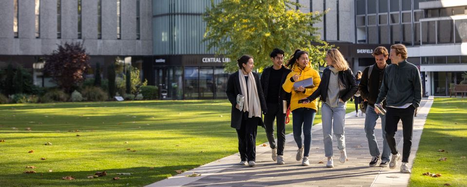 Group of students walk across a path surrounded by greenery