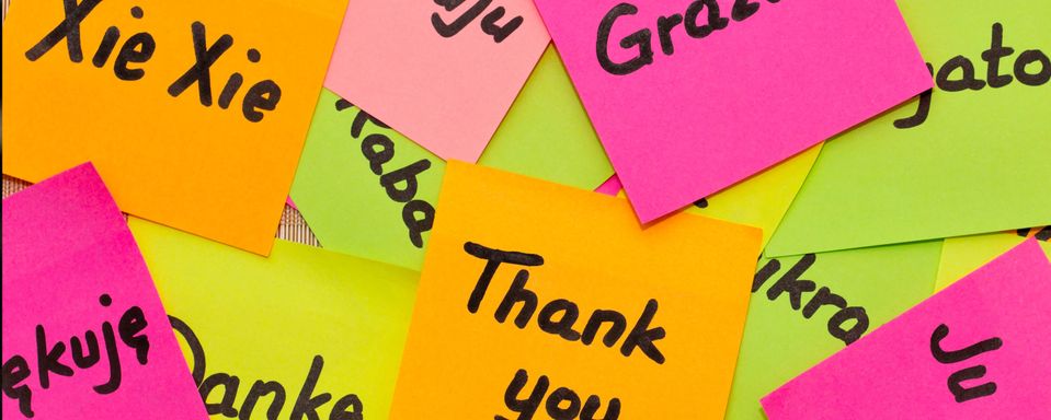 Thank you written in various languages on Post-It notes