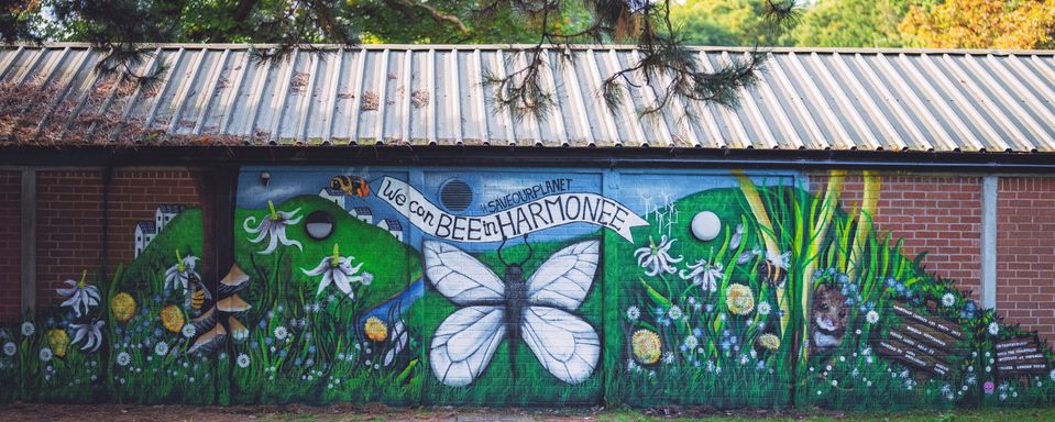 Artistic mural showing a butterfly with the words 