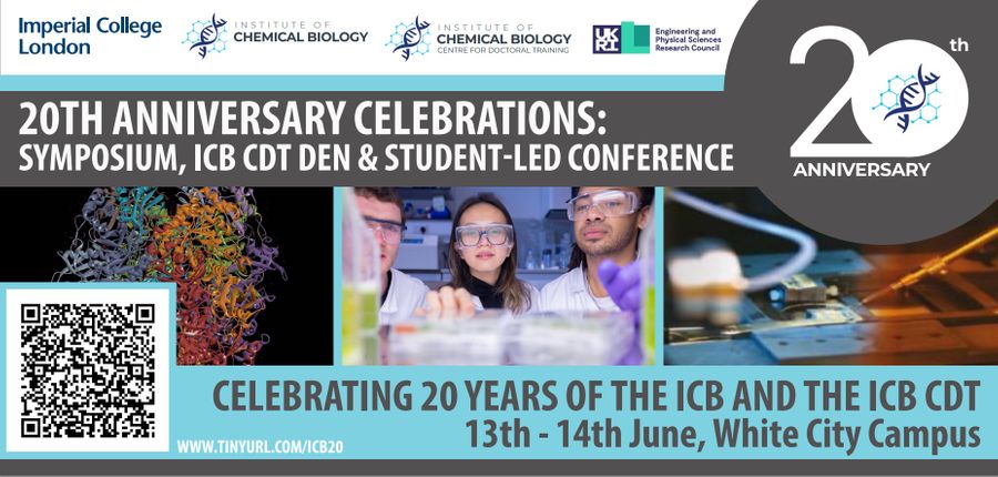 ICB 20 Anniversary celebration