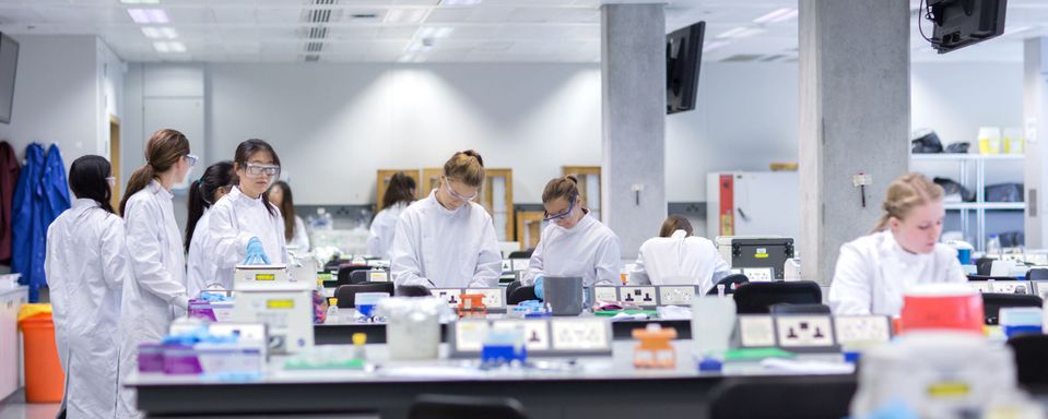 A group of students work in a lab during a class