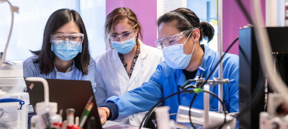 Yuxi Cheng, Lukeriya Zharova and Kai Xie, Research Postgraduates in the group of Professor Molly Stevens, Department of Materials. The students are working on research in the lab (B615).