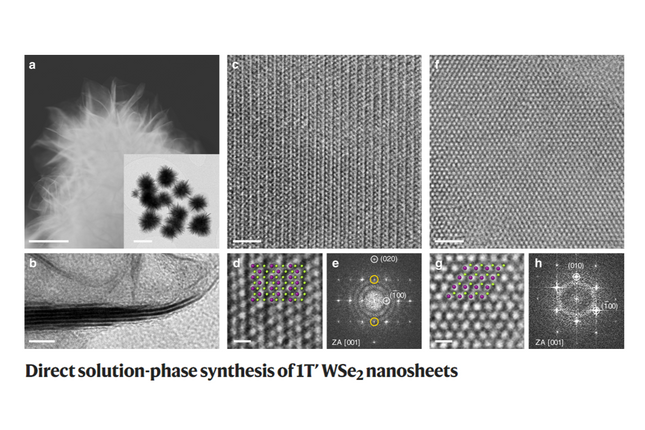 Direct solution-phase synthesis of 1T’ WSe2 nanosheets