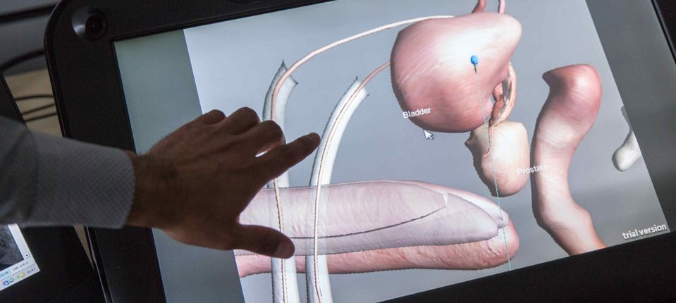 computer screen displaying virtual human organs
