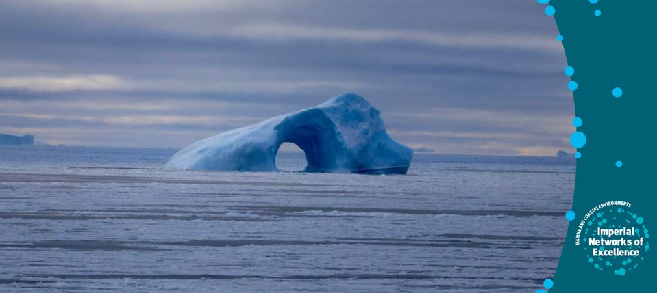 Icebergs in the Ross Sea