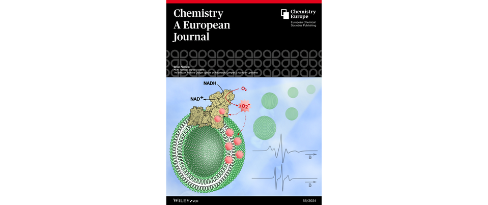 Published Cover Chem Eur J