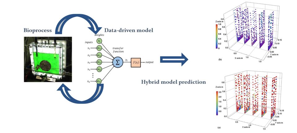 Diagram of optimisation algorithms 