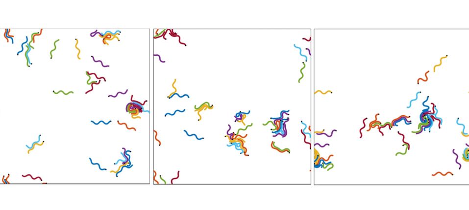 Simulations from Linus Schumacher