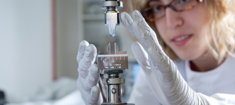 Scientist testing a bone sample