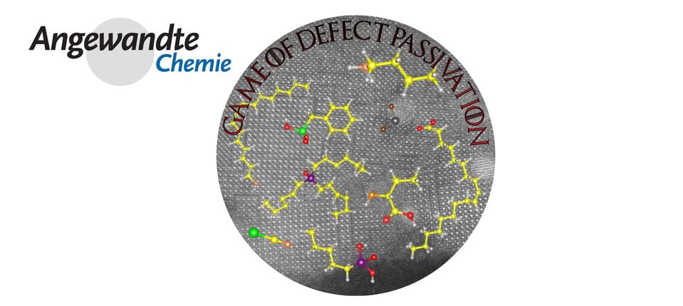 Defect passivation Angewandte Review