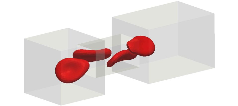 Flow of four vesicles through a constriction