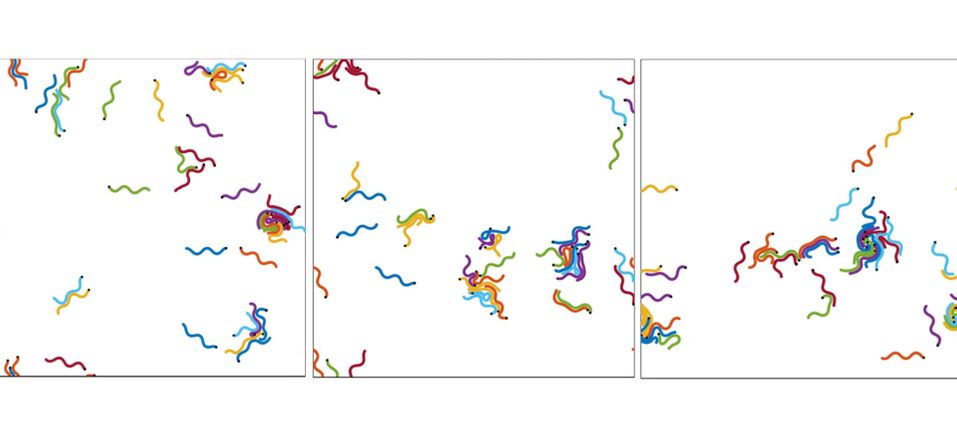 Simulations from Linus Schumacher