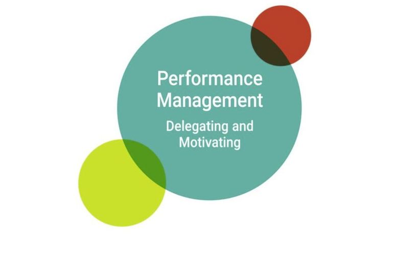 Title slide saying Performance Management: Delegating and motivating