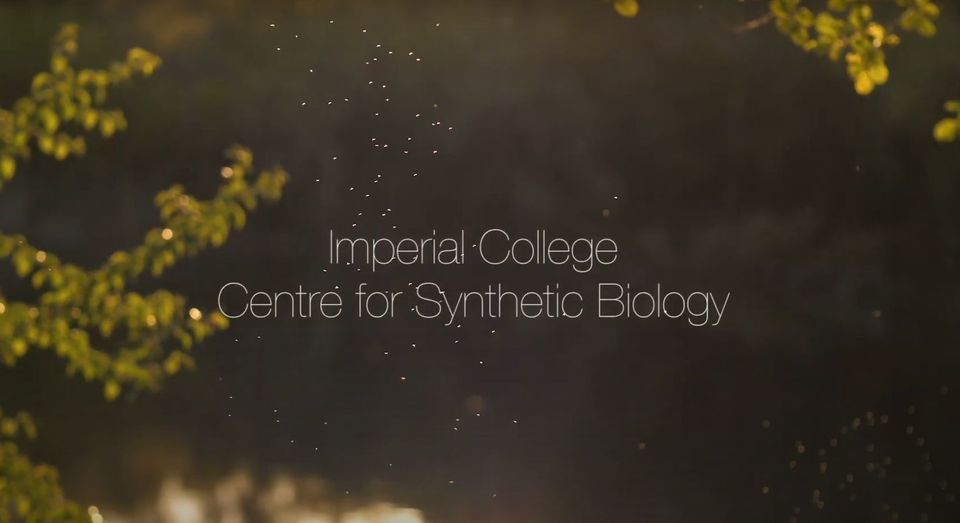 Centre for Synthetic Biology Video Thumbnail