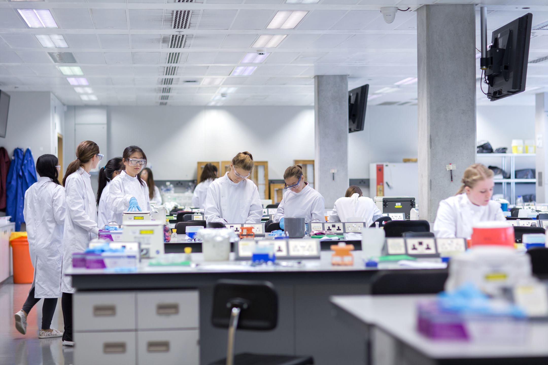 A group of students work in a lab during a class