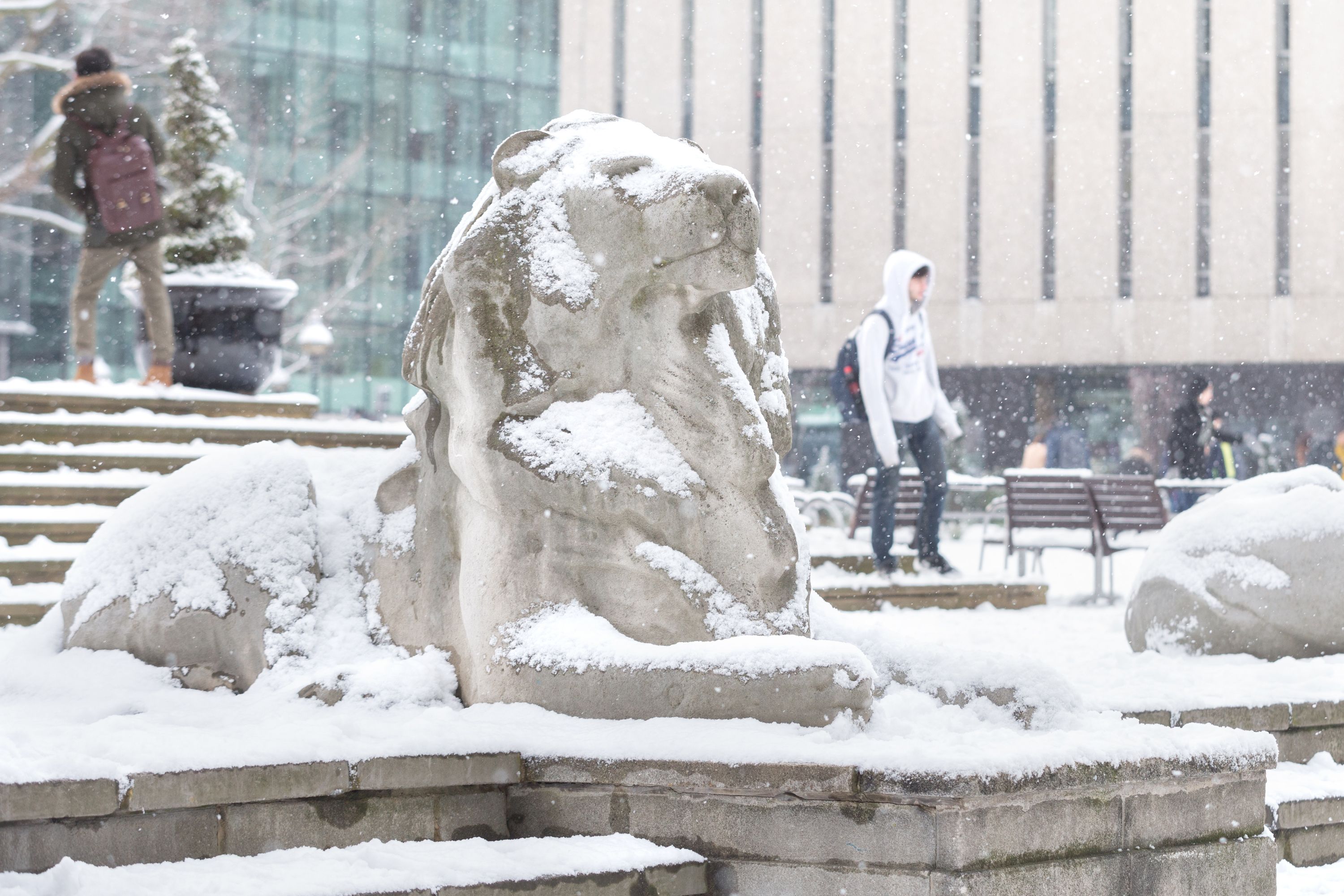A lion at the Queen's Tower covered in snow