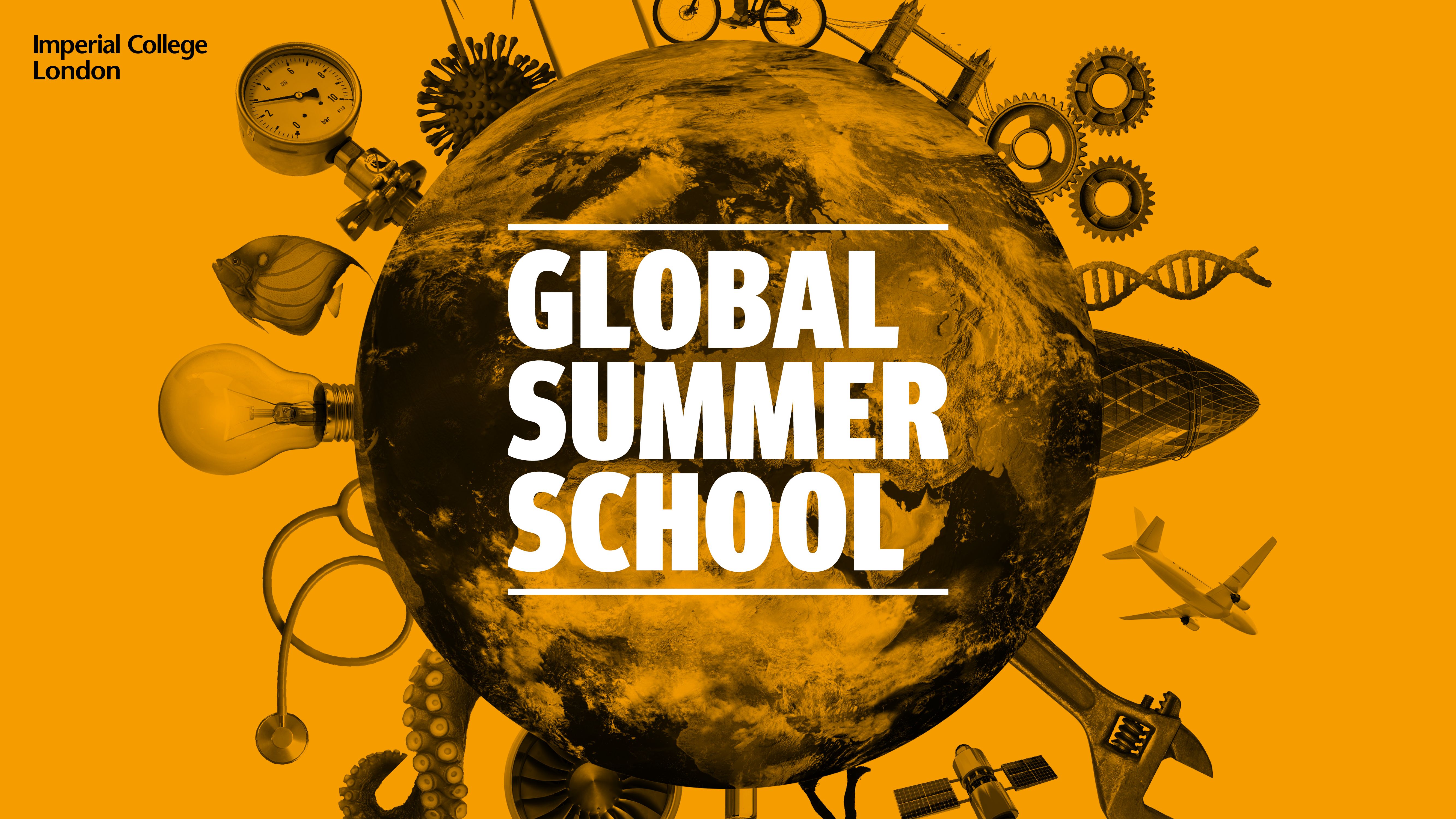 About Global Summer School